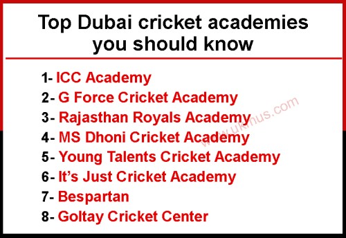 Top Dubai cricket academies you should know is the heading and with 8 top academies names.