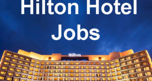 Fresh Hilton Hotel Jobs in Blue color background