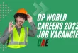 DP World Careers 2023 | DP World Job Vacancies UAE